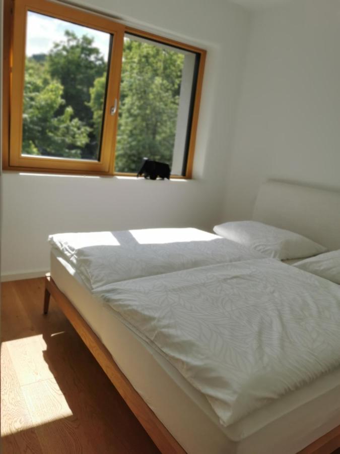 לובליאנה Apartment 191 With Balcony מראה חיצוני תמונה